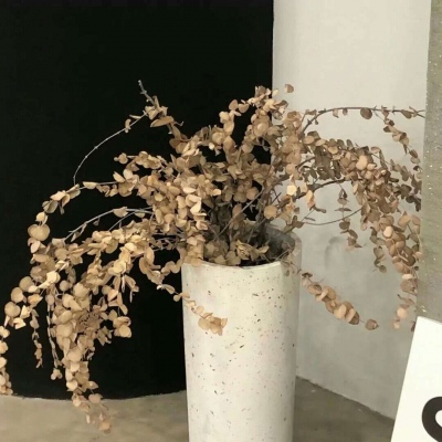 Furry插画故事感设计福瑞交流群